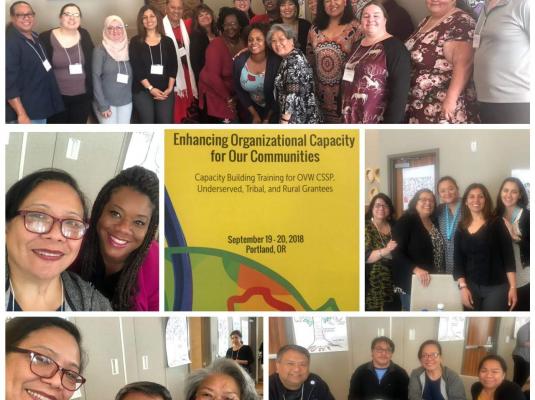 2018 Enhancing Organizational Capacity for Our Communities